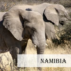 Reise nach Namibia