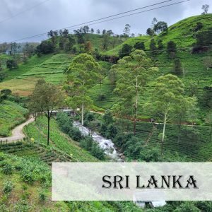 Reise nach Sri Lanka