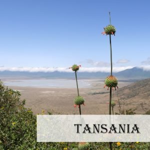 Reise nach Tansania