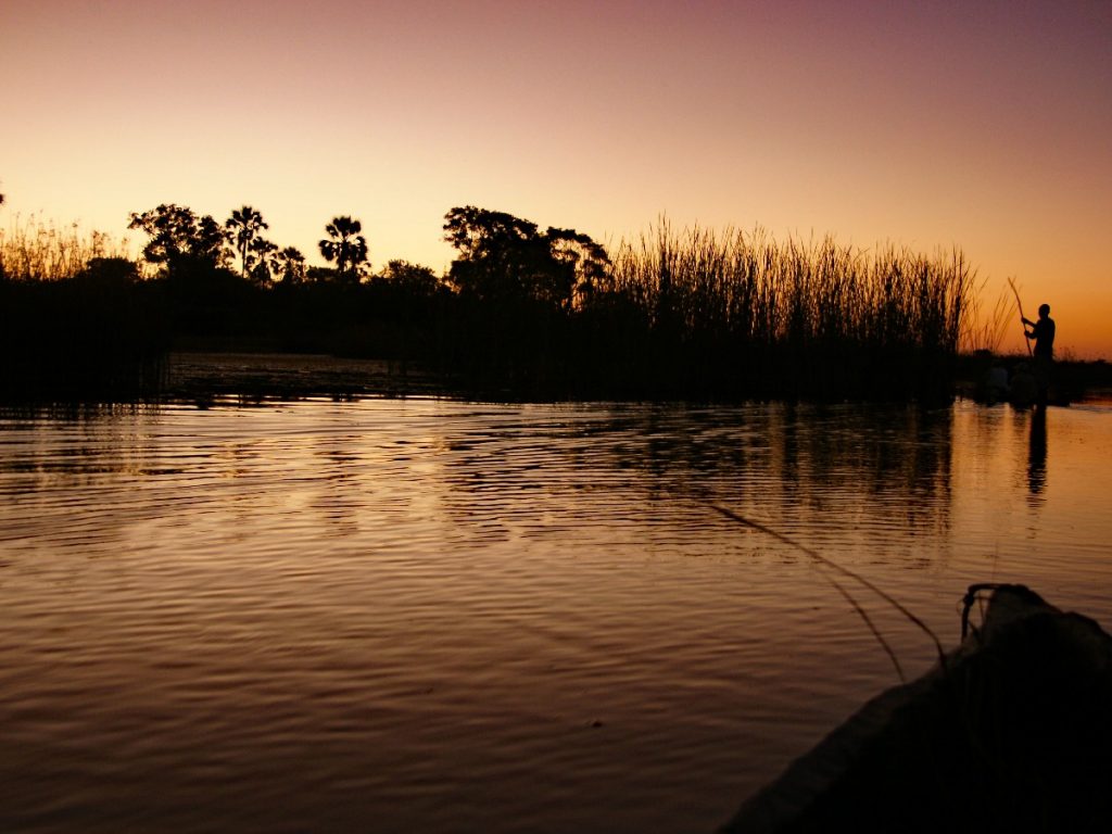 Bootstour durchs Okavangodelta im Sonnenuntergang - Botswana