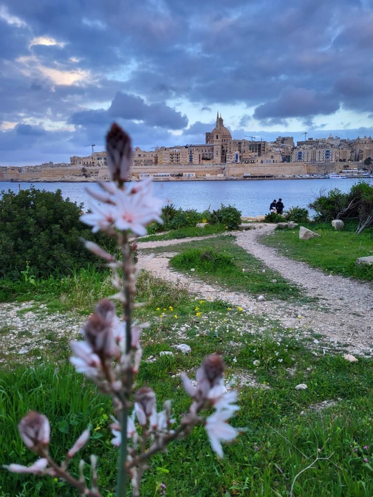Blick von Manoel Island auf Valetta – Malta