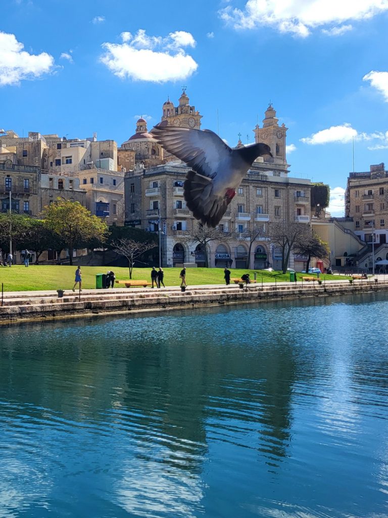 Photo Bomb – Malta