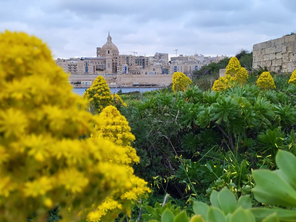 Blick von Manoel Island auf die Karmelitenkirche von Valletta – Malta