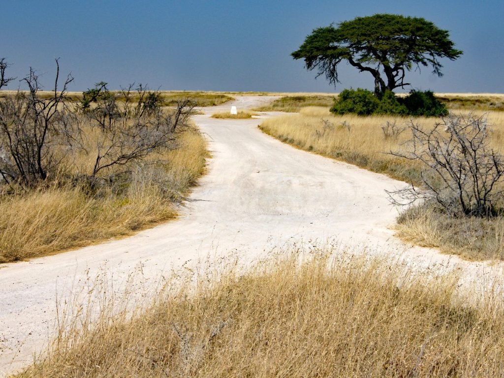 Eine Kreuzung in der Wildnis - Namibia