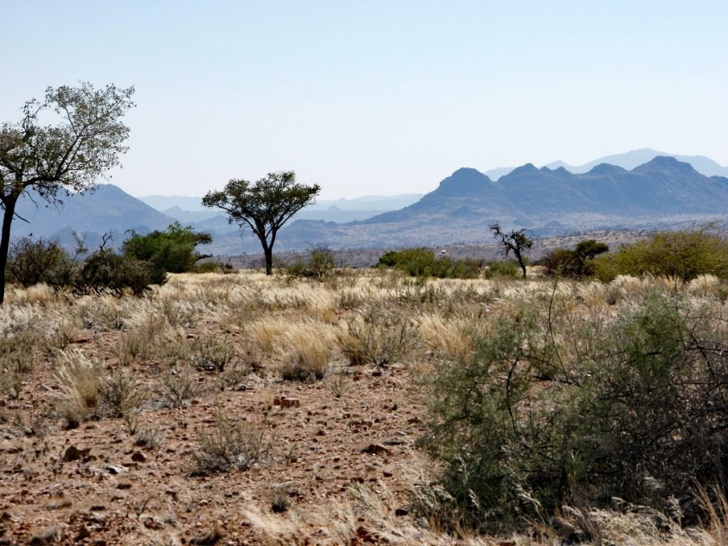 Landschaft in Namibia - Büsche für Pipi-Pausen sind zunehmend schwieriger zu finden ...