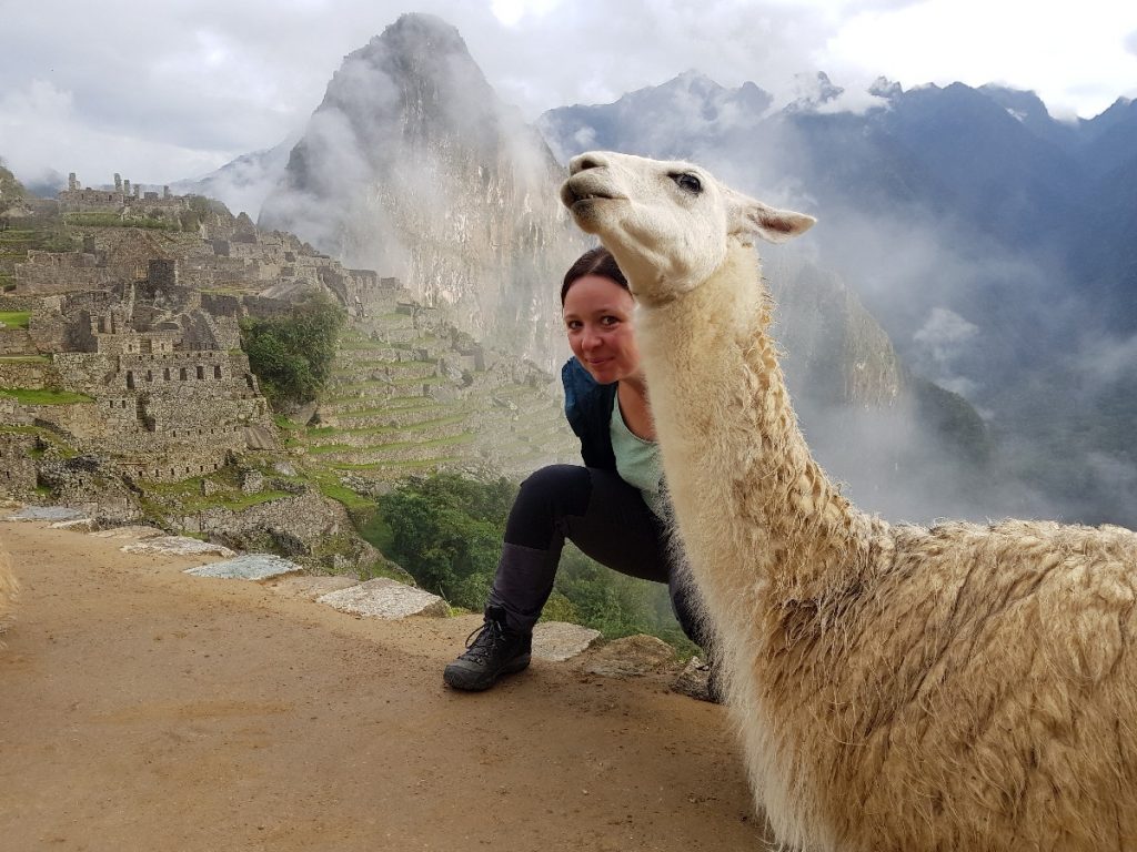 Machu Picchus Gäste – Peru