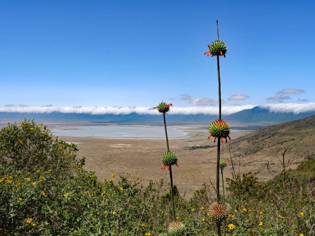 Ngorongoro-Krater in Tansania