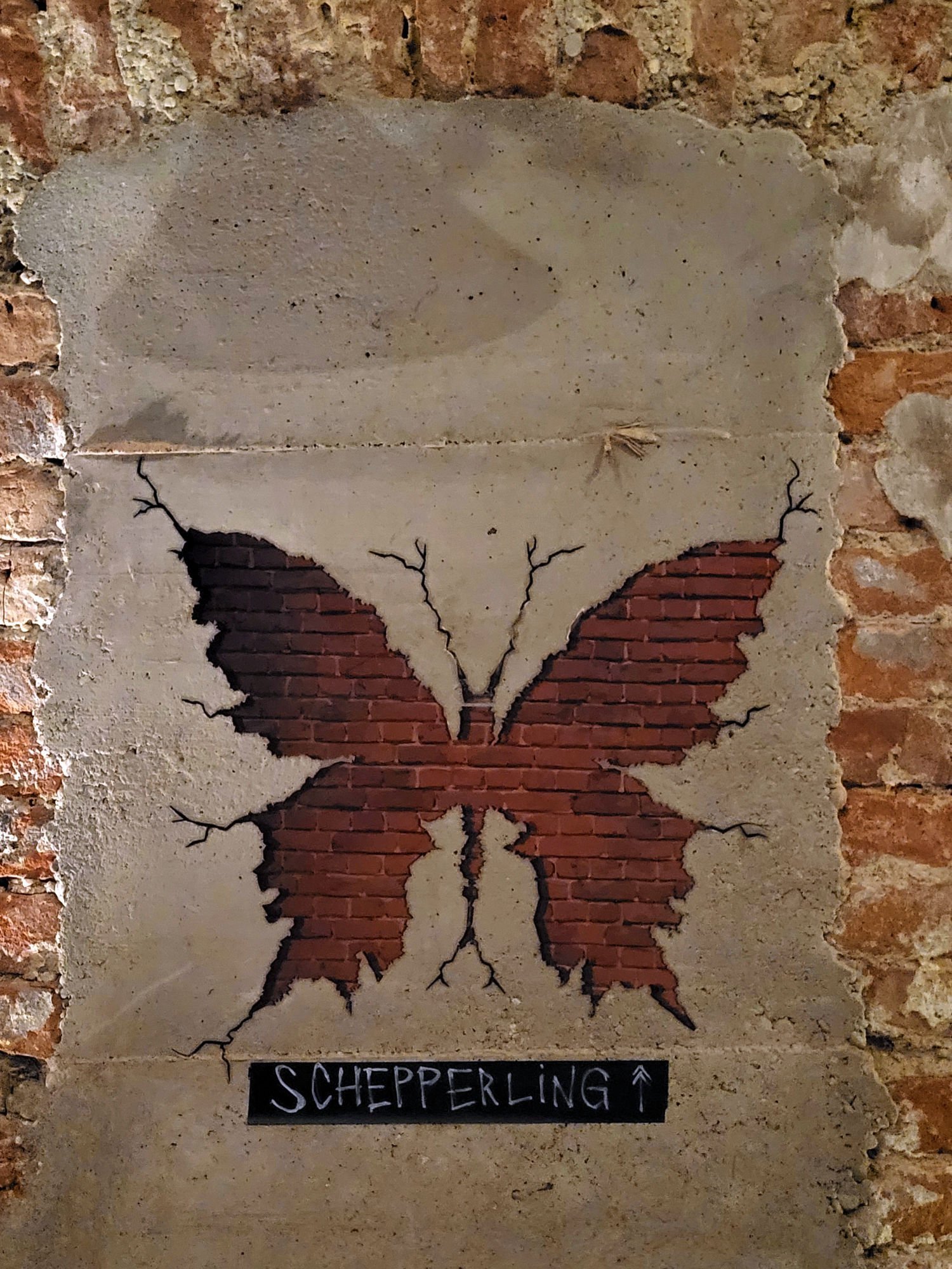 Der Schepperling im Weinbunker in Wien Der Schepperling im Weinbunker in Wien